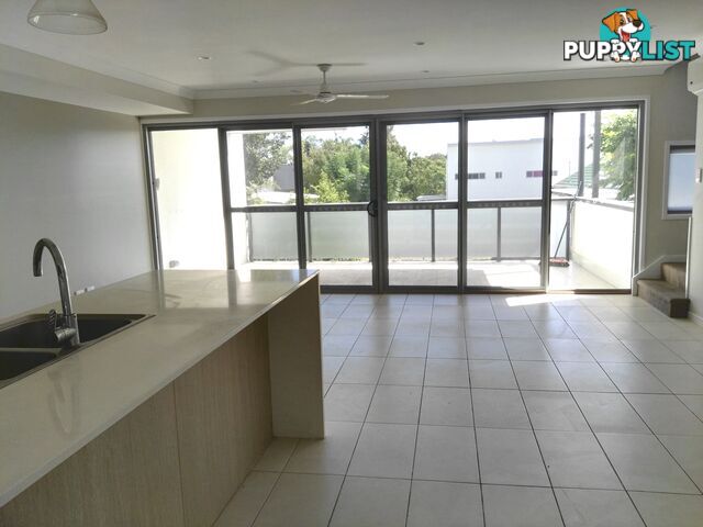 ID:21154786 295 Turton Street Coopers Plains QLD 4108