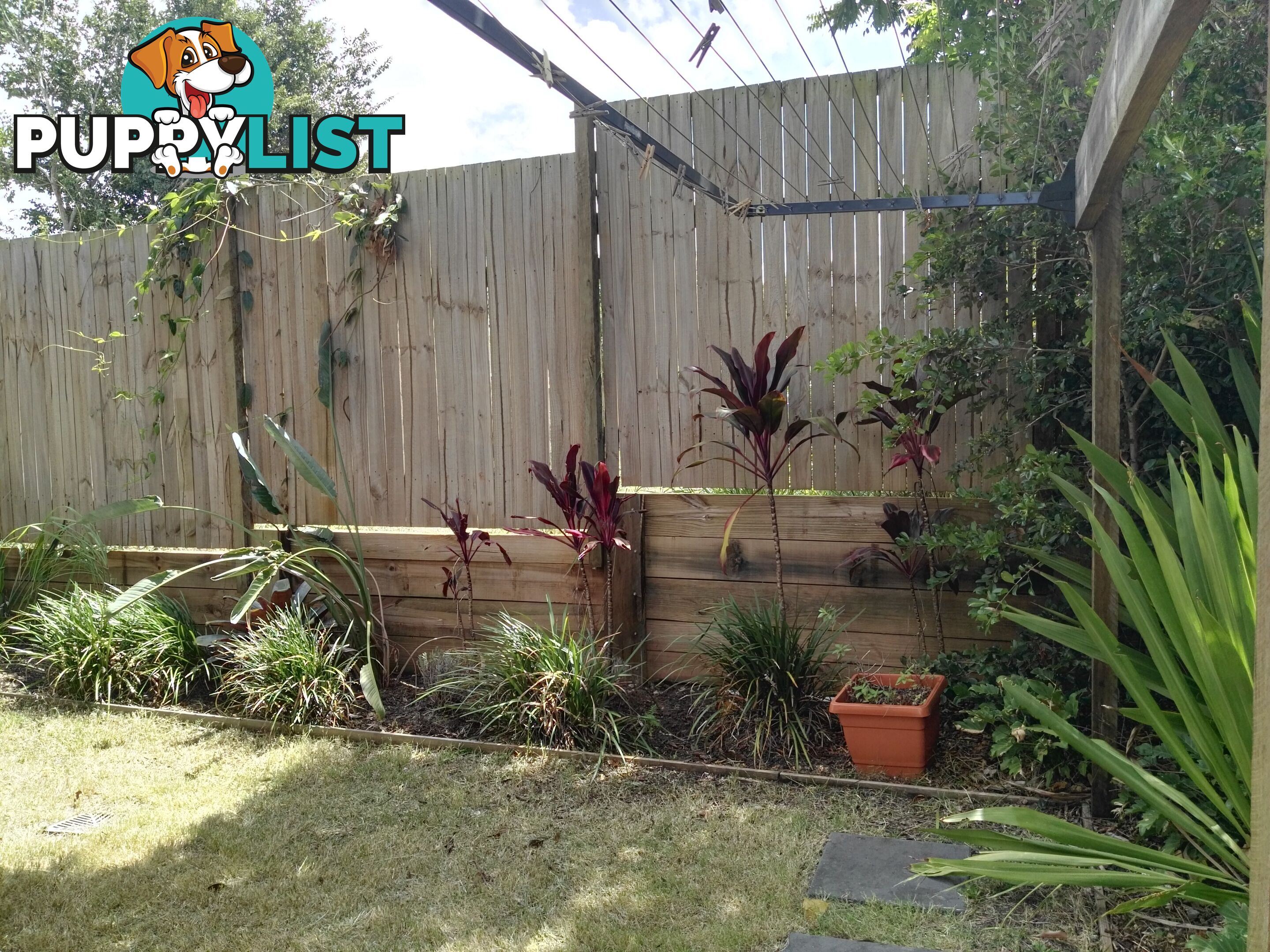 ID:21154786 295 Turton Street Coopers Plains QLD 4108