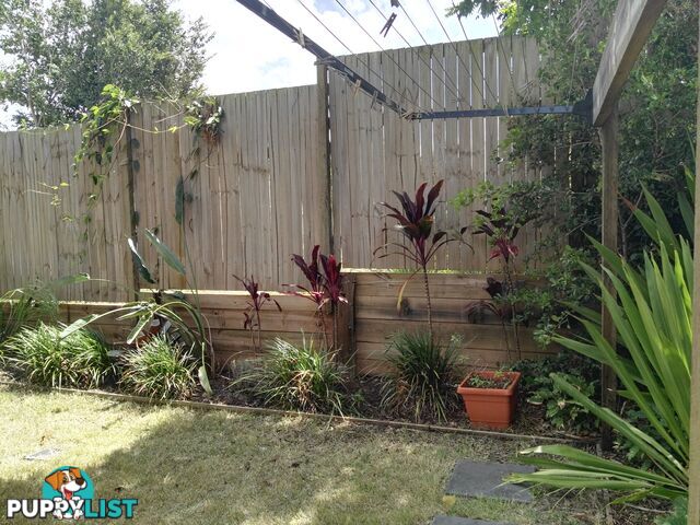 ID:21154786 295 Turton Street Coopers Plains QLD 4108