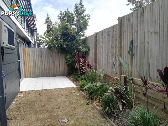 ID:21154786 295 Turton Street Coopers Plains QLD 4108