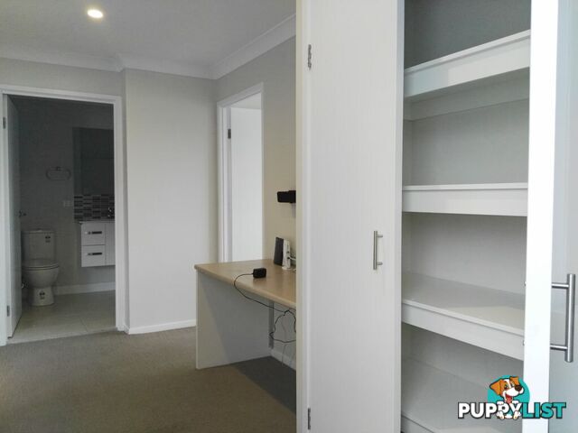 ID:21154786 295 Turton Street Coopers Plains QLD 4108