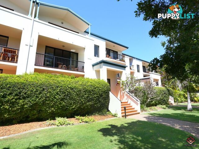 38 Labrador Street Labrador QLD 4215