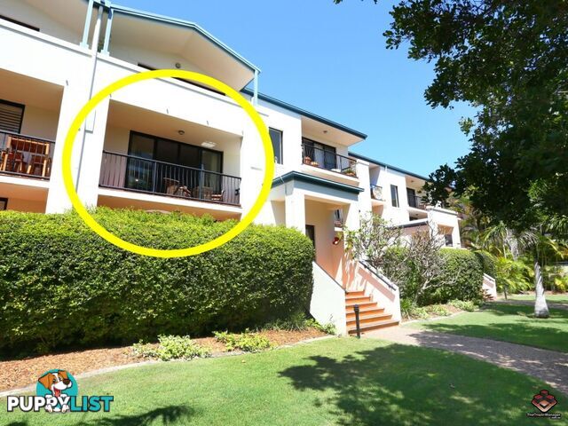 38 Labrador Street Labrador QLD 4215