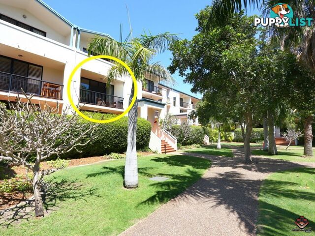 38 Labrador Street Labrador QLD 4215