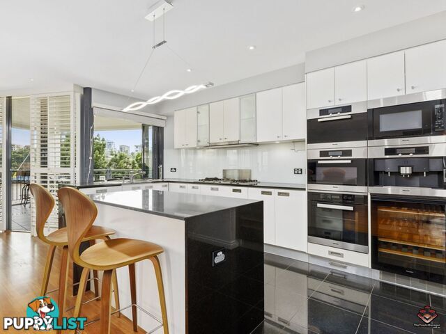 ID:3723949/1 Holman Street KANGAROO POINT QLD 4169