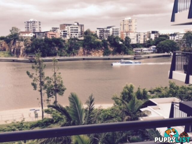 ID:3723949/1 Holman Street KANGAROO POINT QLD 4169