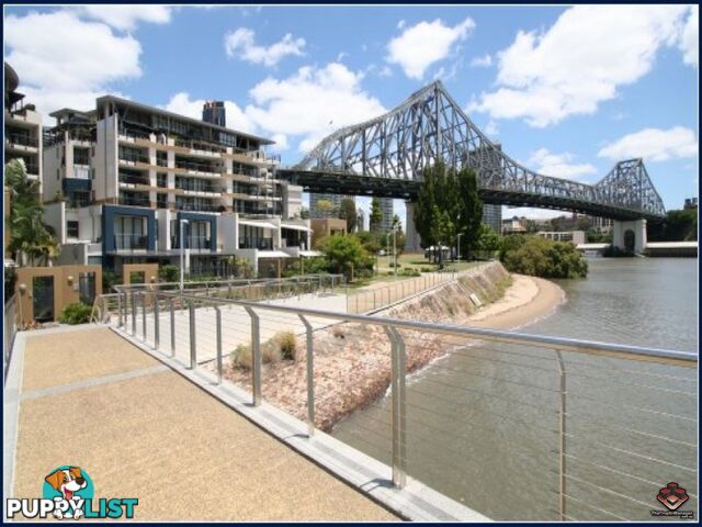 ID:3723949/1 Holman Street KANGAROO POINT QLD 4169