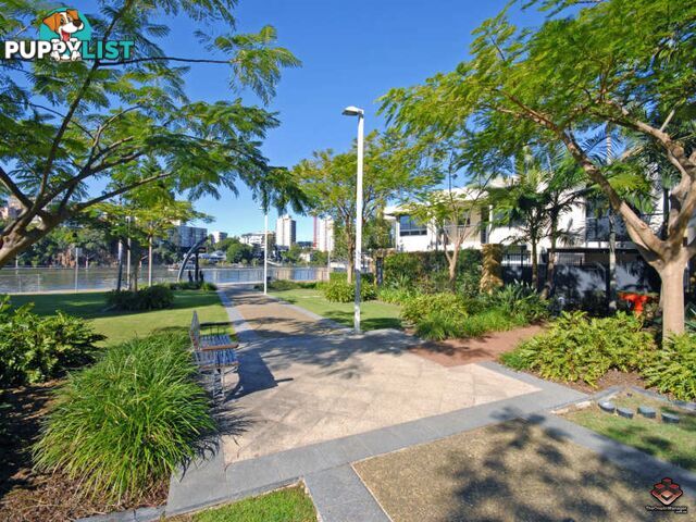 ID:3723949/1 Holman Street KANGAROO POINT QLD 4169