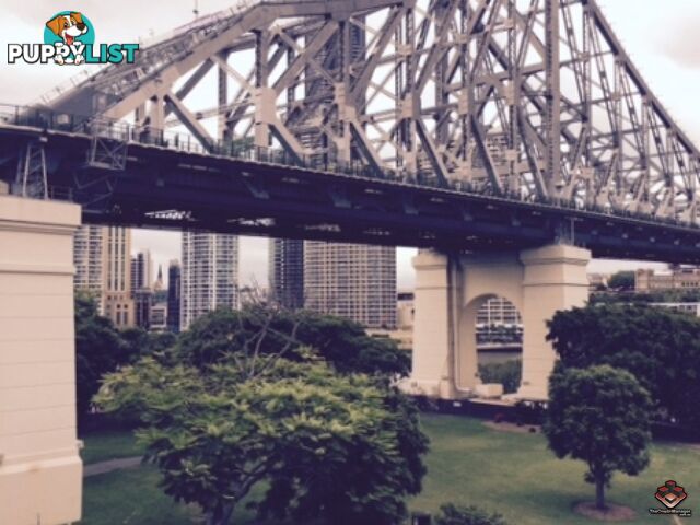 ID:3723949/1 Holman Street KANGAROO POINT QLD 4169