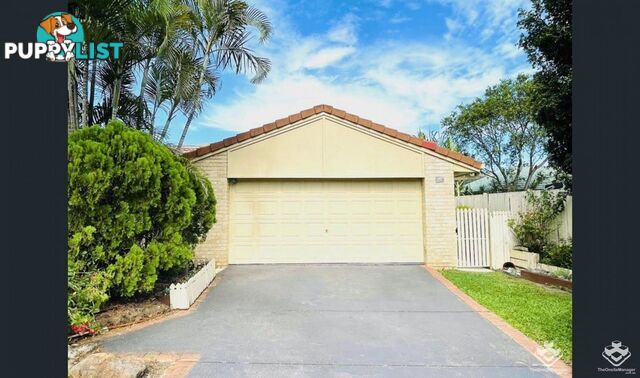 23 Hillburn Street Runcorn QLD 4113