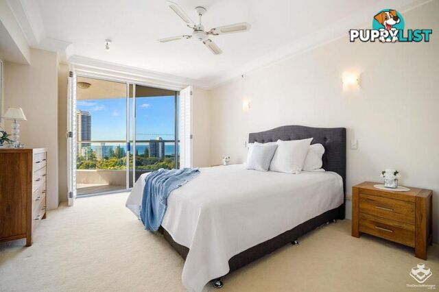 ID:21143942/12 Commodore Drive Surfers Paradise QLD 4217