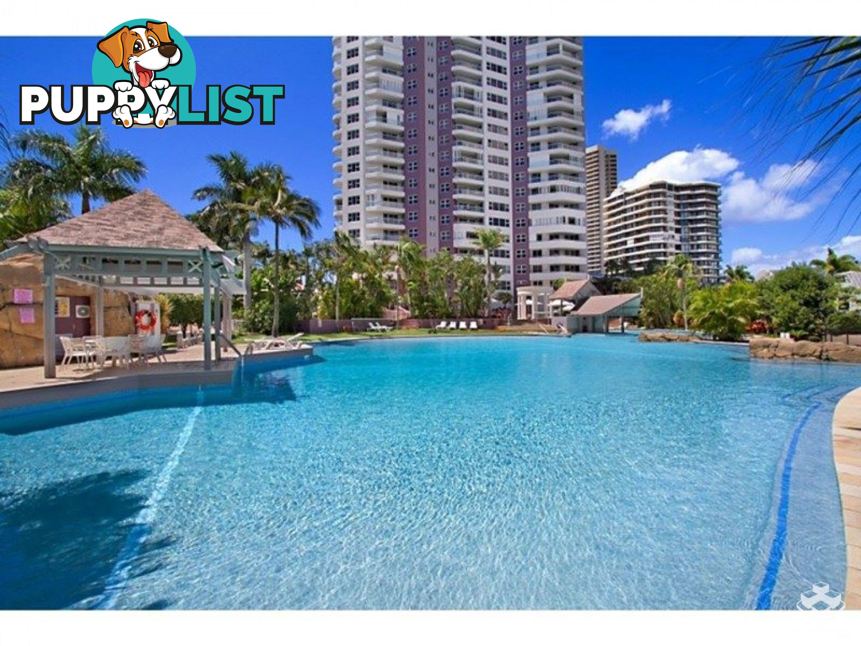 ID:21143942/12 Commodore Drive Surfers Paradise QLD 4217