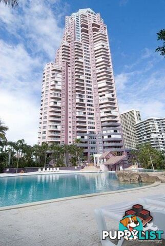 ID:21143942/12 Commodore Drive Surfers Paradise QLD 4217