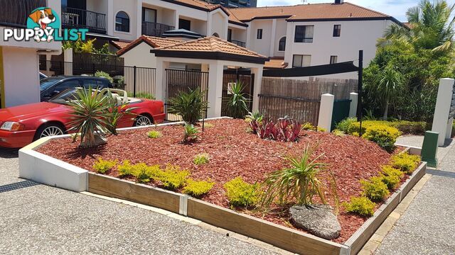 ID:21155699 15 Owens Lane Southport QLD 4215