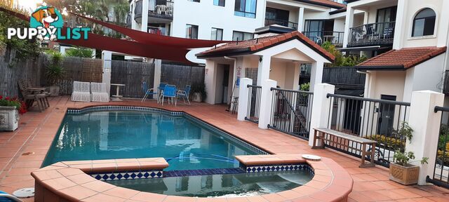 ID:21155699 15 Owens Lane Southport QLD 4215