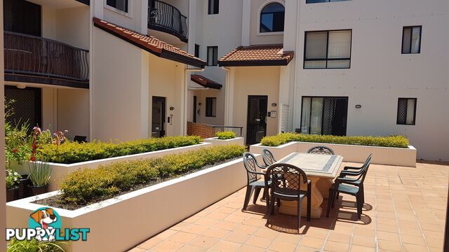 ID:21155699 15 Owens Lane Southport QLD 4215