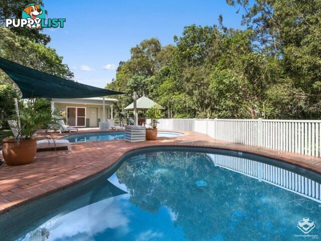 ID:21146305 206 D'Arcy Road Seven Hills QLD 4170