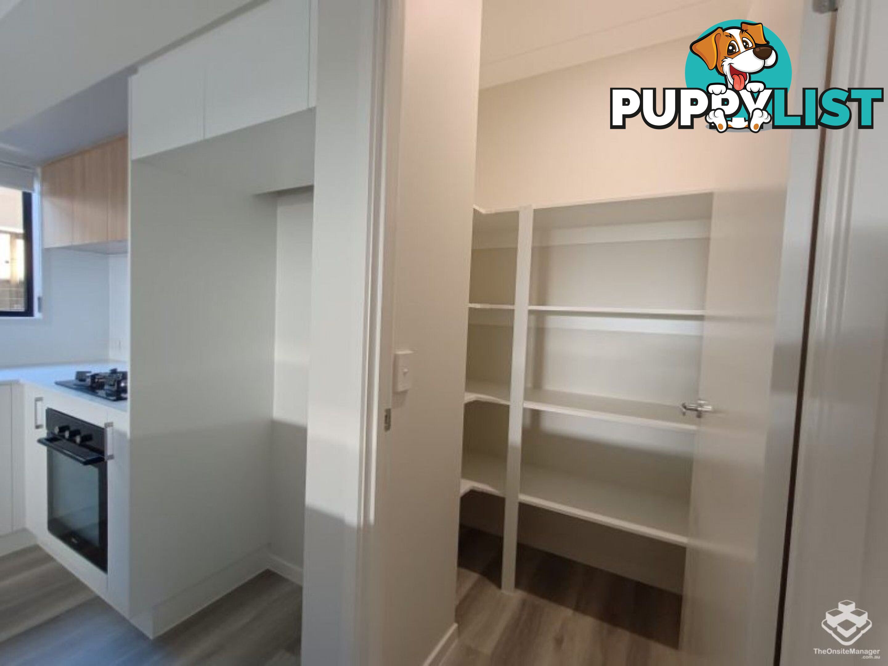 49 Jim Davidson Boulevard Belivah QLD 4207