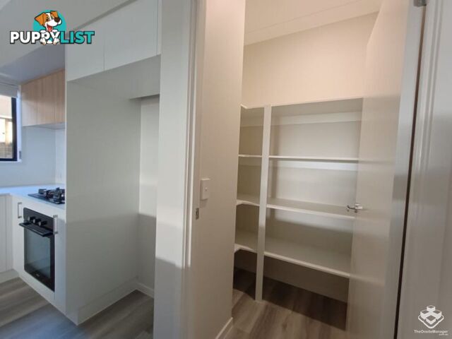 49 Jim Davidson Boulevard Belivah QLD 4207