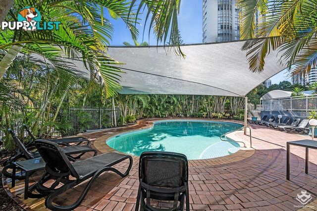4/11-17 Hughes Avenue Main Beach QLD 4217
