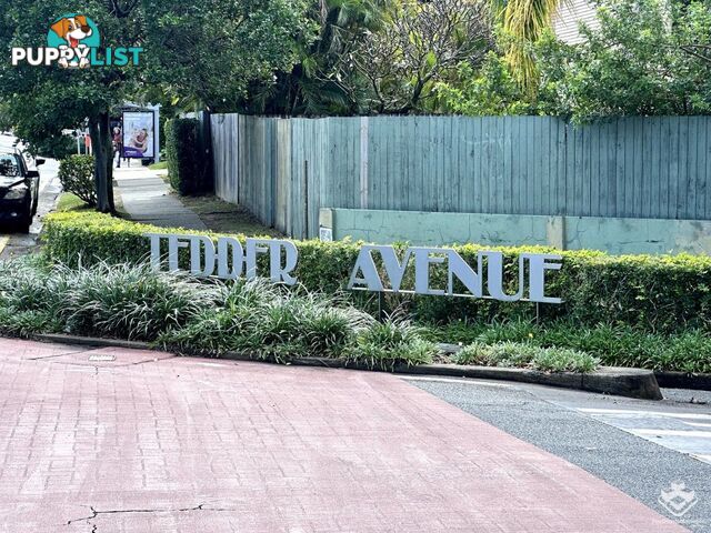 4/11-17 Hughes Avenue Main Beach QLD 4217