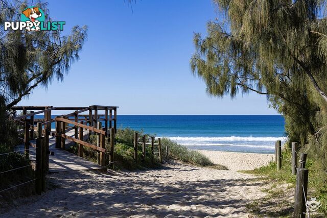 10/1 Flindersia Street Marcoola QLD 4564