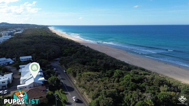 10/1 Flindersia Street Marcoola QLD 4564