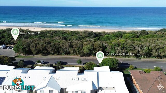 10/1 Flindersia Street Marcoola QLD 4564