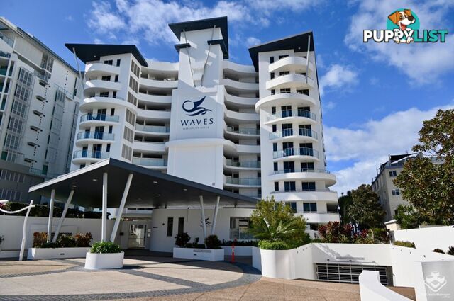 ID:21148817 36-38 Duporth Avenue Maroochydore QLD 4558