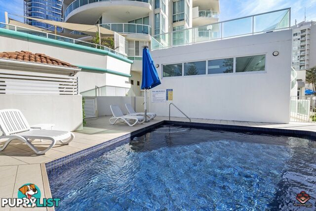 14/5 Woodroffe Avenue Main Beach QLD 4217