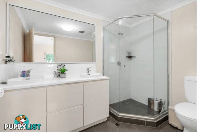 ID:21158864 25-27 Digger Street Cairns North QLD 4870