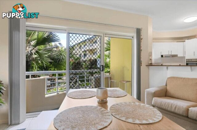 ID:21158864 25-27 Digger Street Cairns North QLD 4870