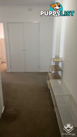 65/454 Upper Edward Street Spring Hill QLD 4000