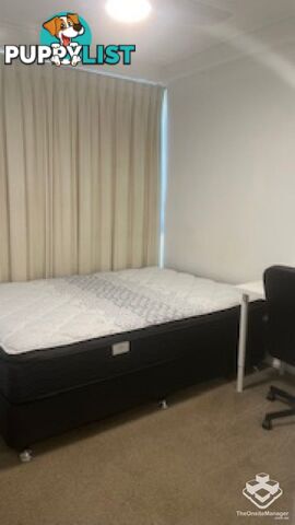 65/454 Upper Edward Street Spring Hill QLD 4000