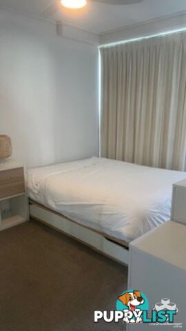 65/454 Upper Edward Street Spring Hill QLD 4000