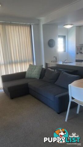 65/454 Upper Edward Street Spring Hill QLD 4000