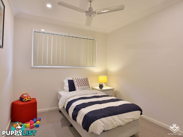 ID:21152741 2 Emerald Place Bridgeman Downs QLD 4035