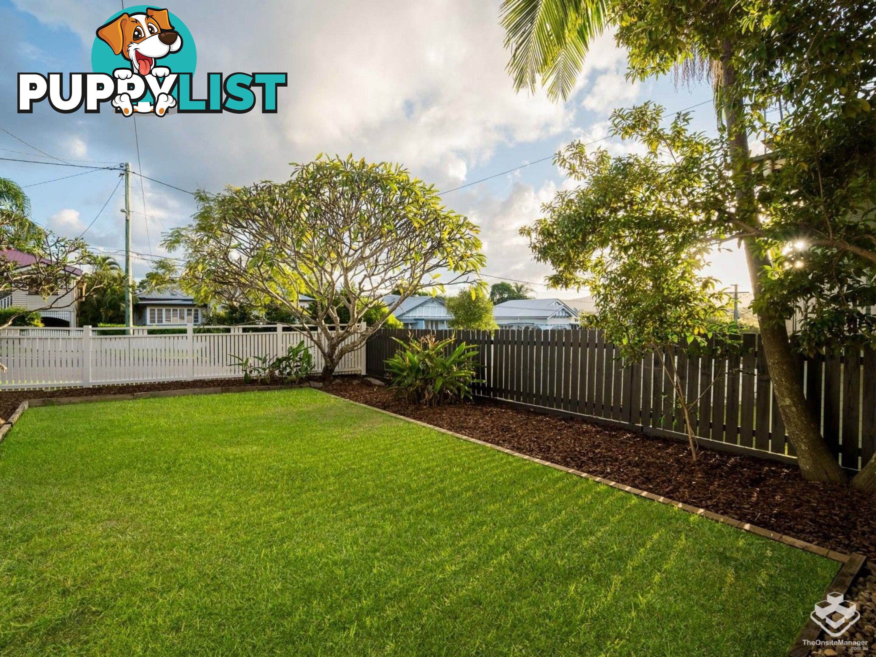 43 Campbell Terrace Alderley QLD 4051