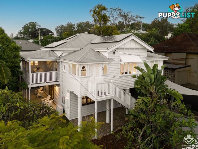 43 Campbell Terrace Alderley QLD 4051