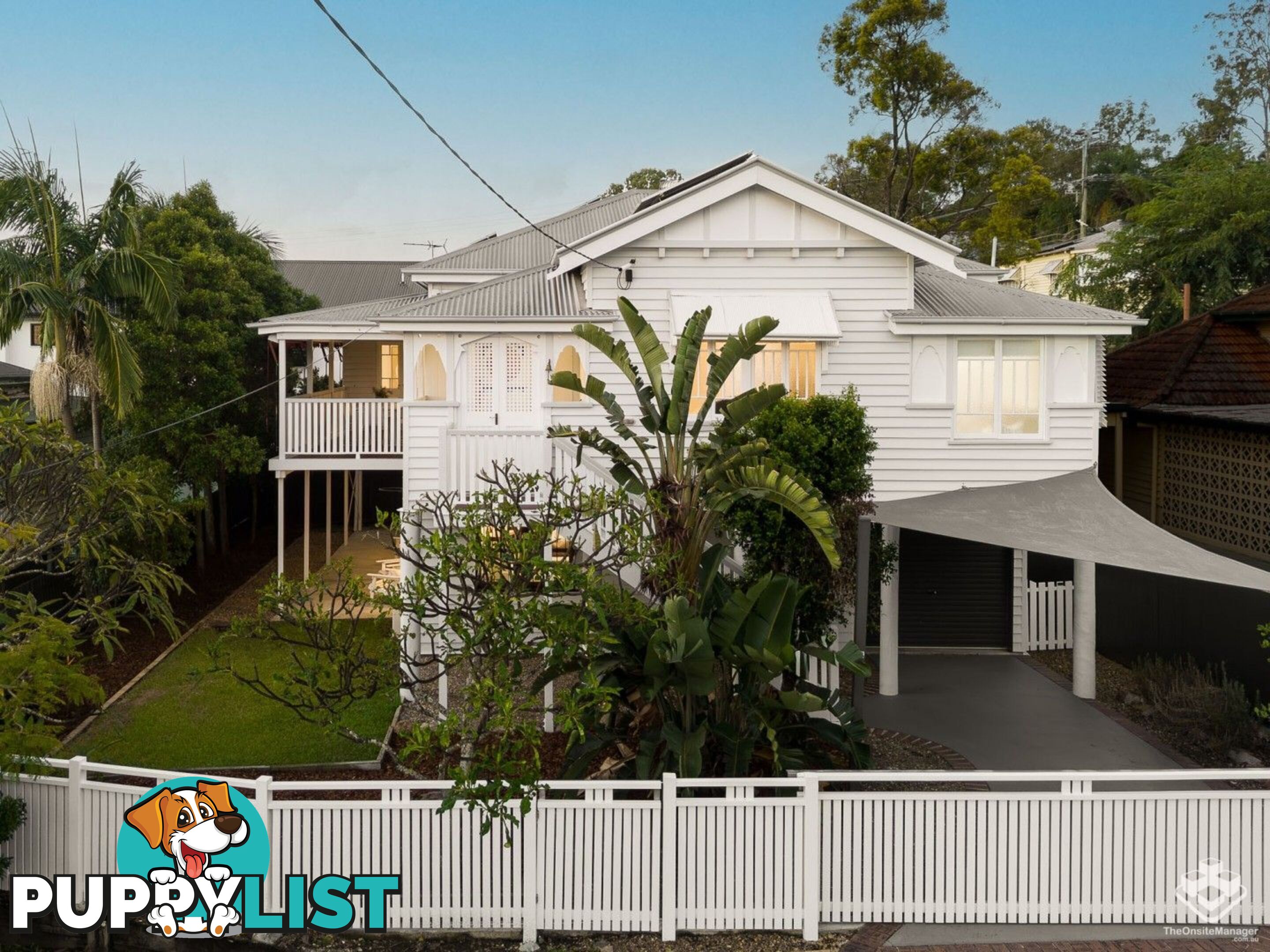 43 Campbell Terrace Alderley QLD 4051