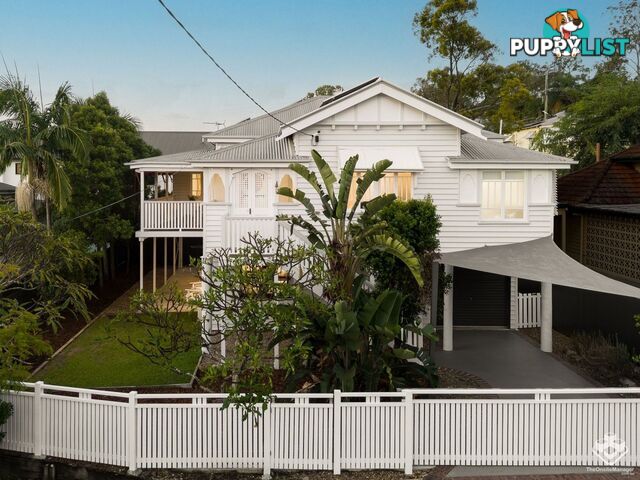 43 Campbell Terrace Alderley QLD 4051