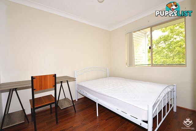 4/169 Sir Fred Schonell Drive St Lucia QLD 4067