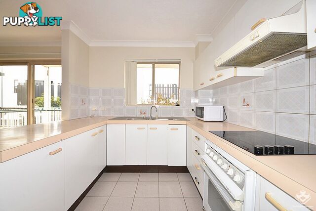4/169 Sir Fred Schonell Drive St Lucia QLD 4067
