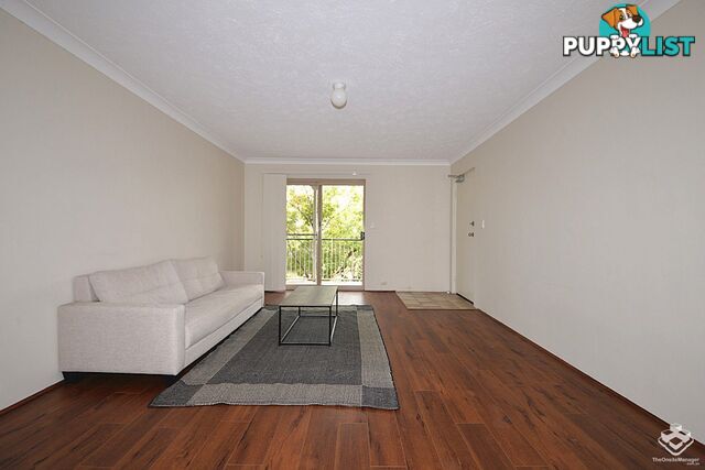 4/169 Sir Fred Schonell Drive St Lucia QLD 4067