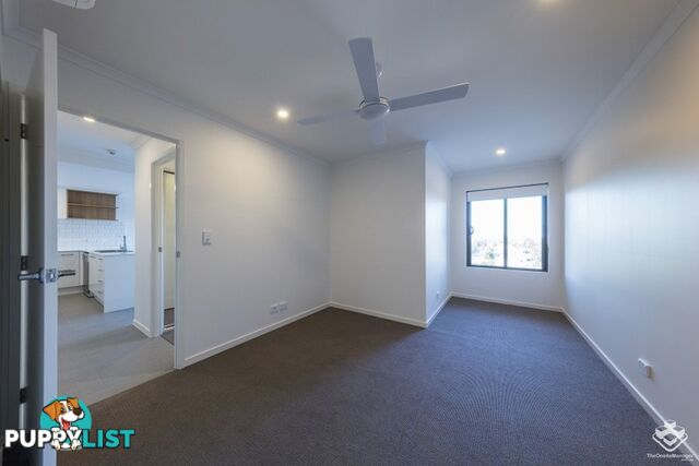ID:21151438 35 Alice Street Kedron QLD 4031