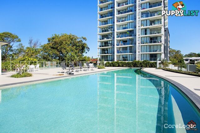 ID:21156428 388 Marine Parade Labrador QLD 4215