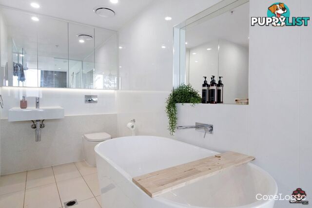 ID:21156428 388 Marine Parade Labrador QLD 4215