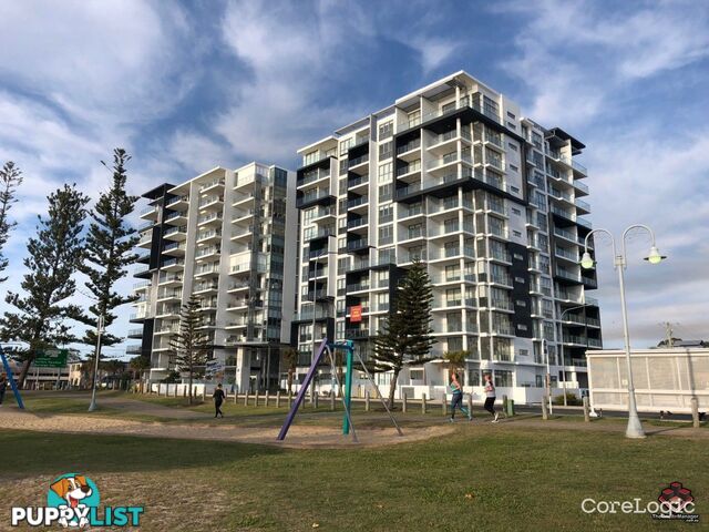 ID:21156428 388 Marine Parade Labrador QLD 4215