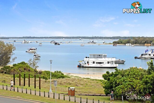 ID:21156428 388 Marine Parade Labrador QLD 4215