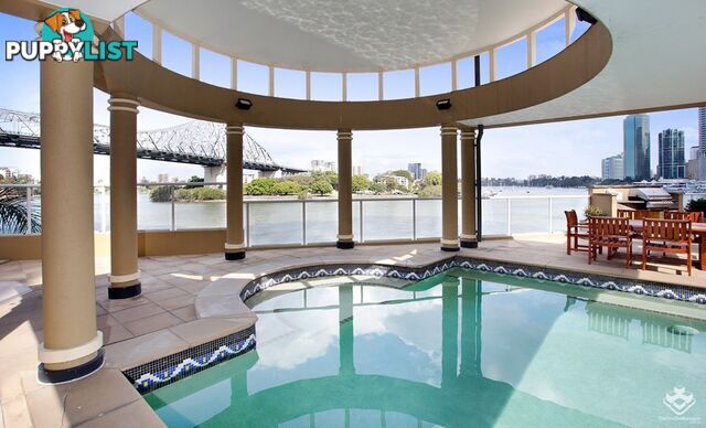 ID:3888769 32 Macrossan Street Brisbane City QLD 4000
